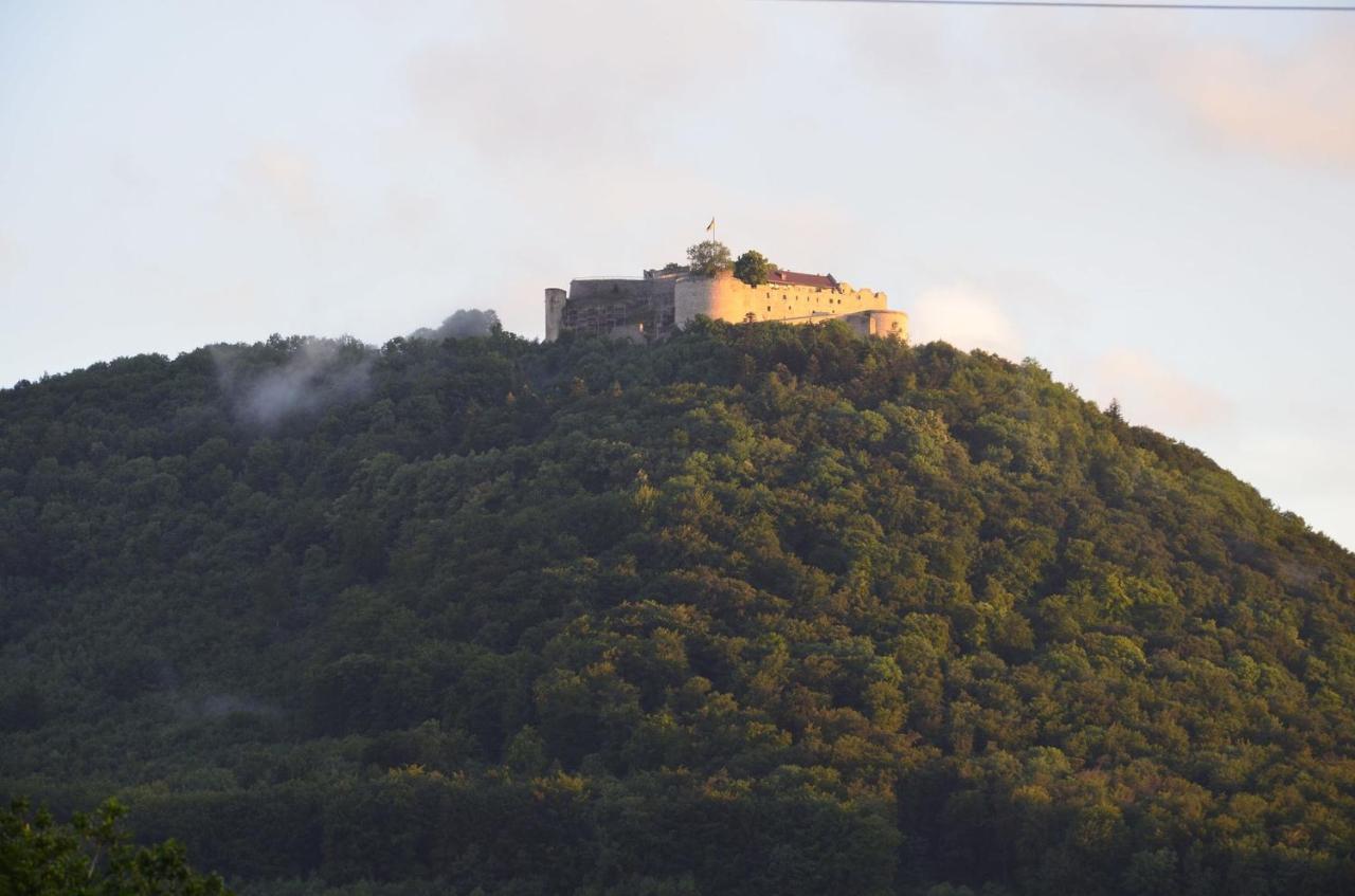 Ferienwohnung Zaunkoenig Beuren  Esterno foto